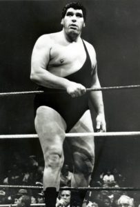 Chi era Andre il gigante ?1