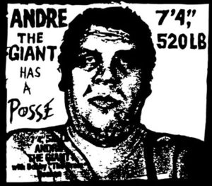 Chi era Andre il gigante ?1